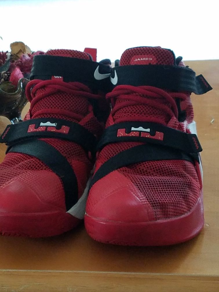 Lebron's Soldier Shoes