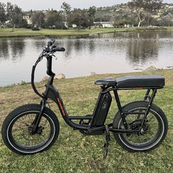 (Trades only not for sale) Radrunner Ebike