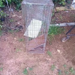 Rabbit Trap