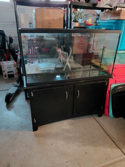 Large aquarium tank with stand