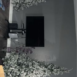 Double 12ft Christmas Trees For Sale 