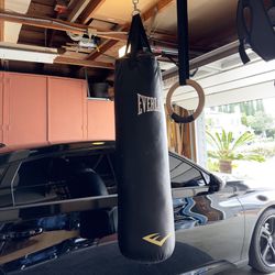 100 lb. Everlast Boxing / Punching Bag