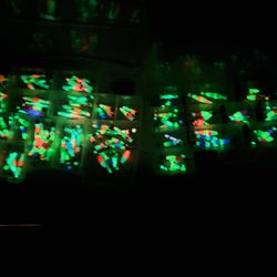 Squid Jigs