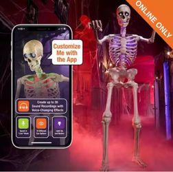 App Skelly Animatronic
