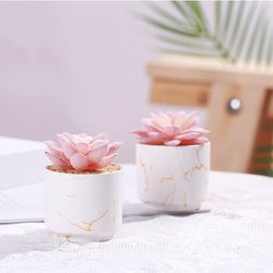 Artificial Plants and Succulents in 2 White Ceramic Pots,Small Fake Plants for Office and Desk Decor,Bathroom, Bedroom,Shelves for Women