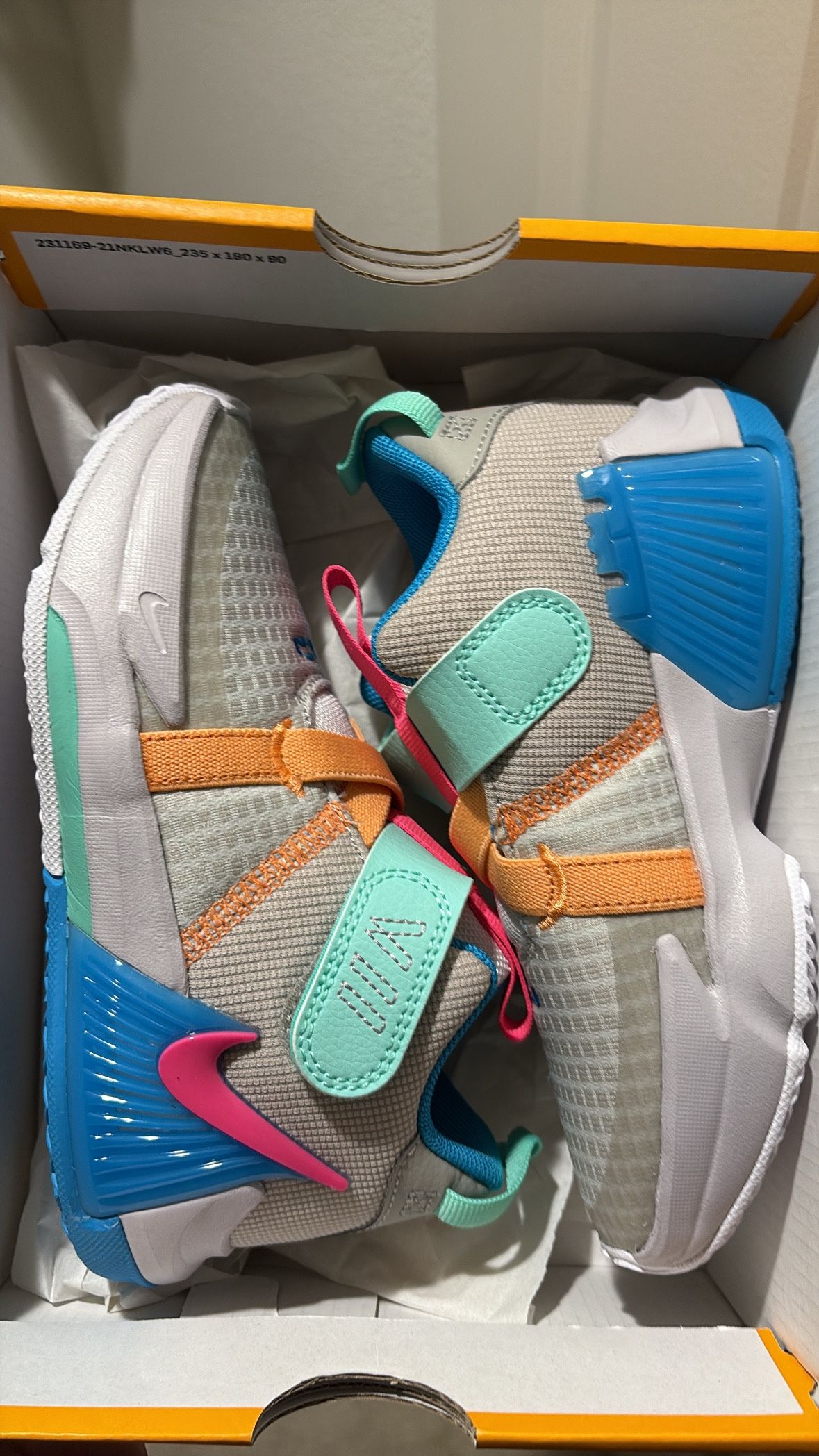 LeBron Witness V11