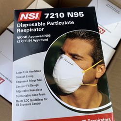 Disposable Particulate Respirator Each Box 
