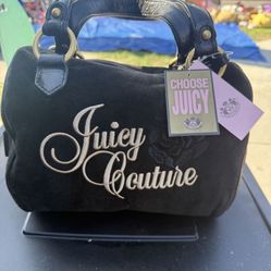 Juicy Couture Y2K Handbag Brand New 