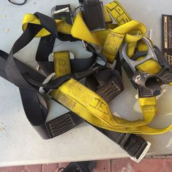 Body Harness