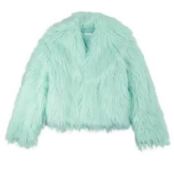 Taylor Swift Fur Coat 