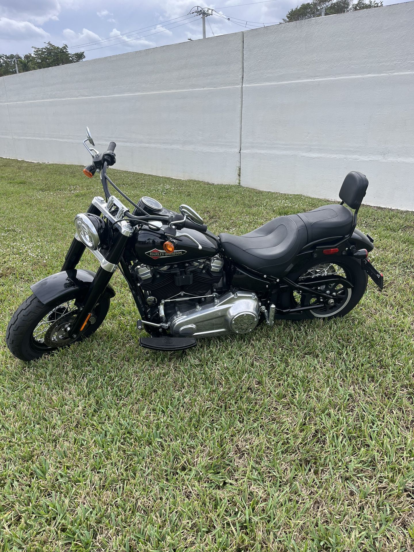 2020 Harley Davidson FLSL