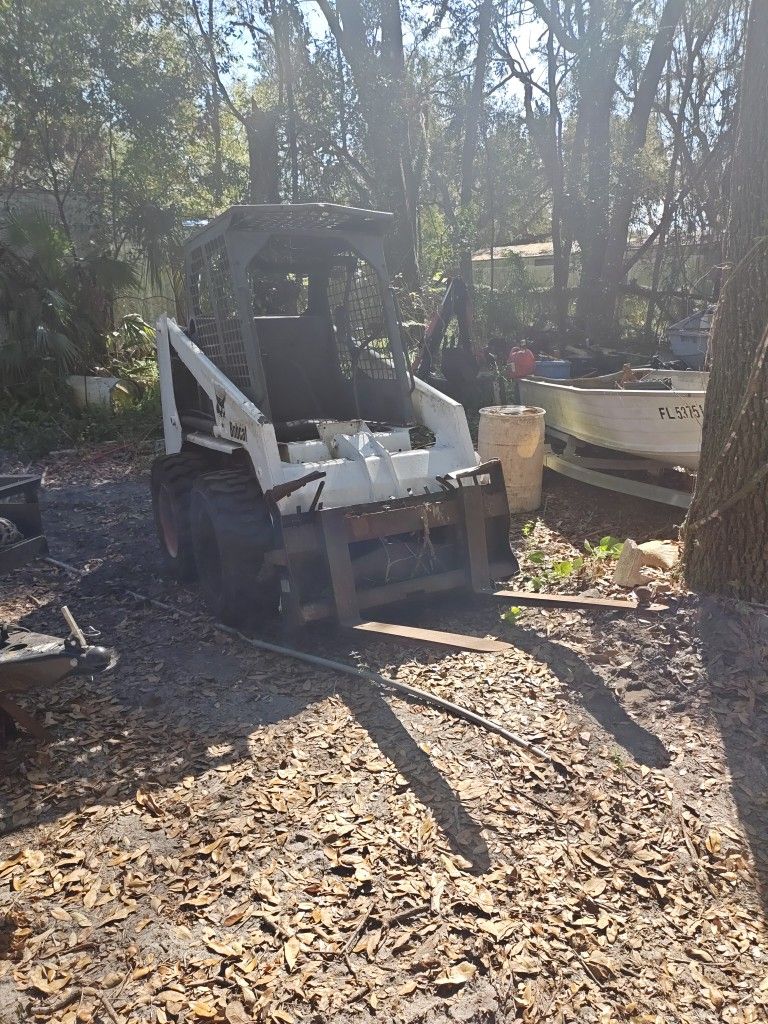 Bobcat