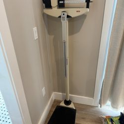 Seca scale 