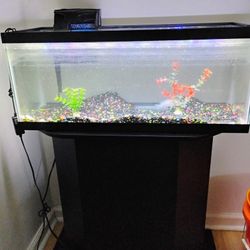 Fish Tank & Accessories 