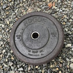 Rogue Bumper Wright / Single 