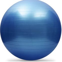 Exercise (Therapy) Ball