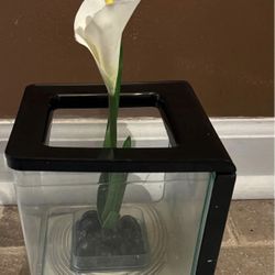 Small Beta Fish Bowl Aquarium (pls Read Description Below)