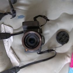 Two digital cameras was really big zoom in