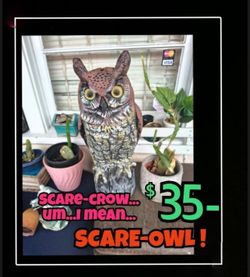 Vintage Owl Decoy - Garden Scare Crow - Halloween Decor