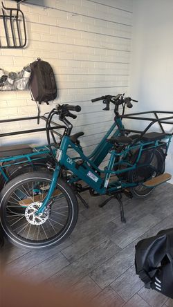 Family Cargo Electric Bike