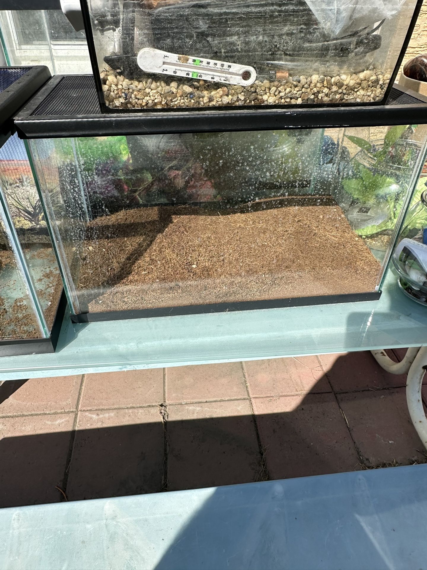Reptile Tank