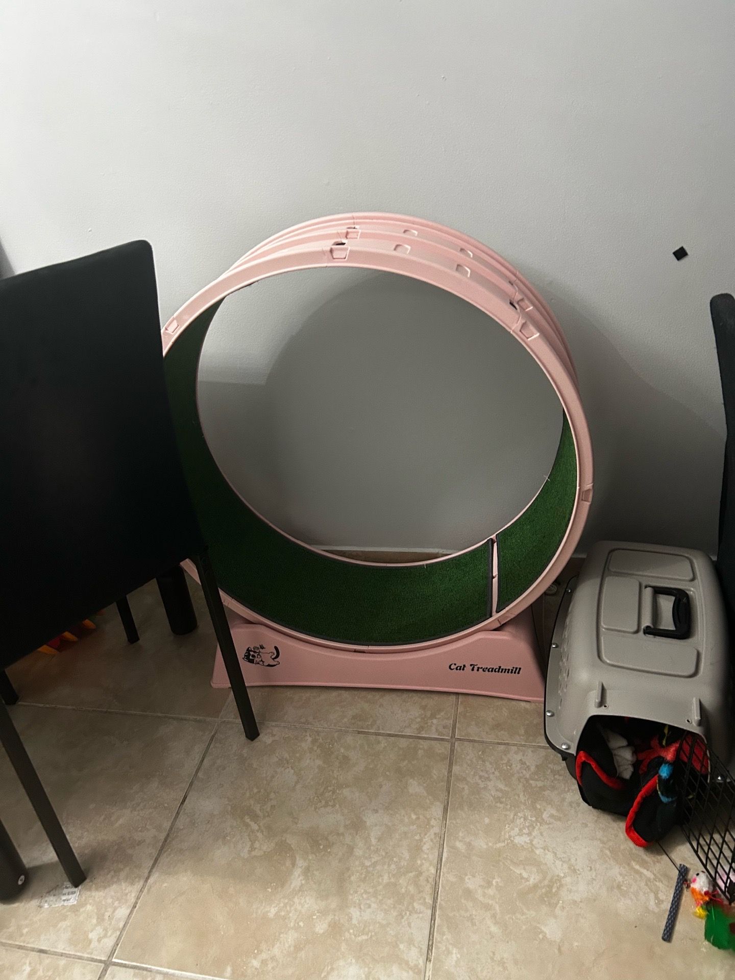 Cat Wheel