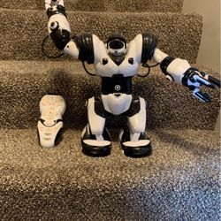 Toy robot