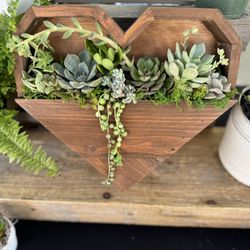 Succulent Arrangement 