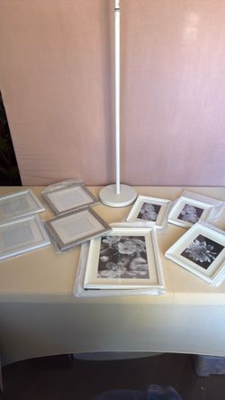 8 Piece Matted Gallery Wall Picture Frame Set