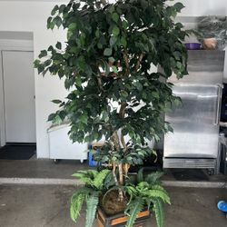 7 Foot Artificial Ficus Tree With Lights 