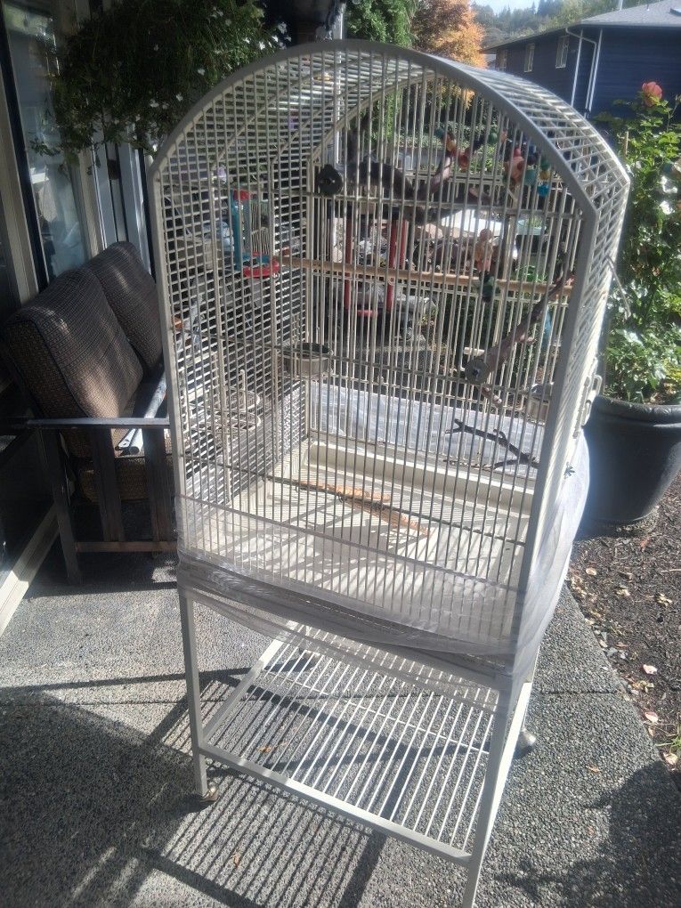Birds Cage