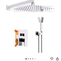 Shower Head Set 12”