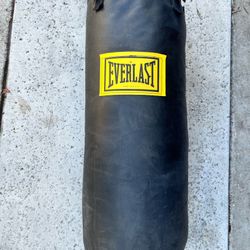 Brand New Everlast Punching Bag 