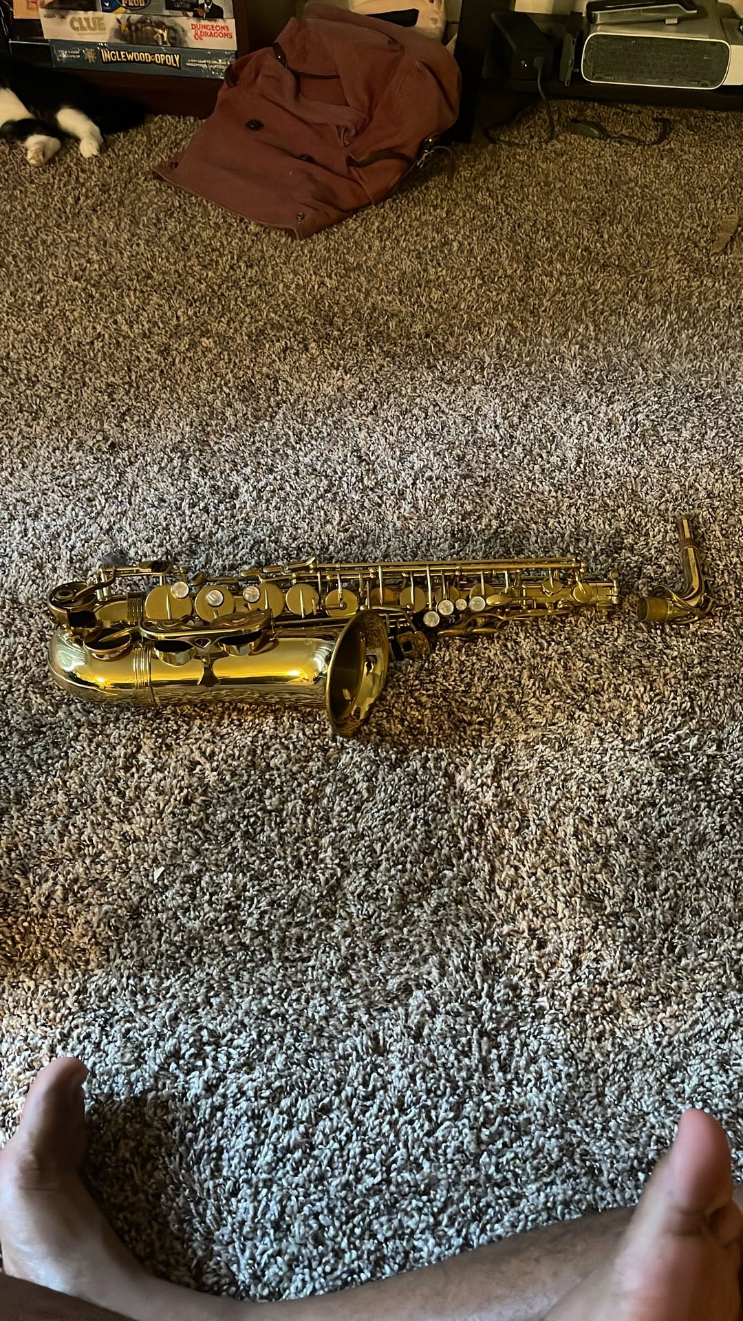 Alpine alto saxophone Instrument