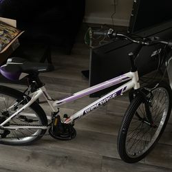 BAMCBASE Mountain Bike