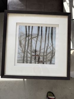 Framed Art Caroline Ashton Birdcage 2