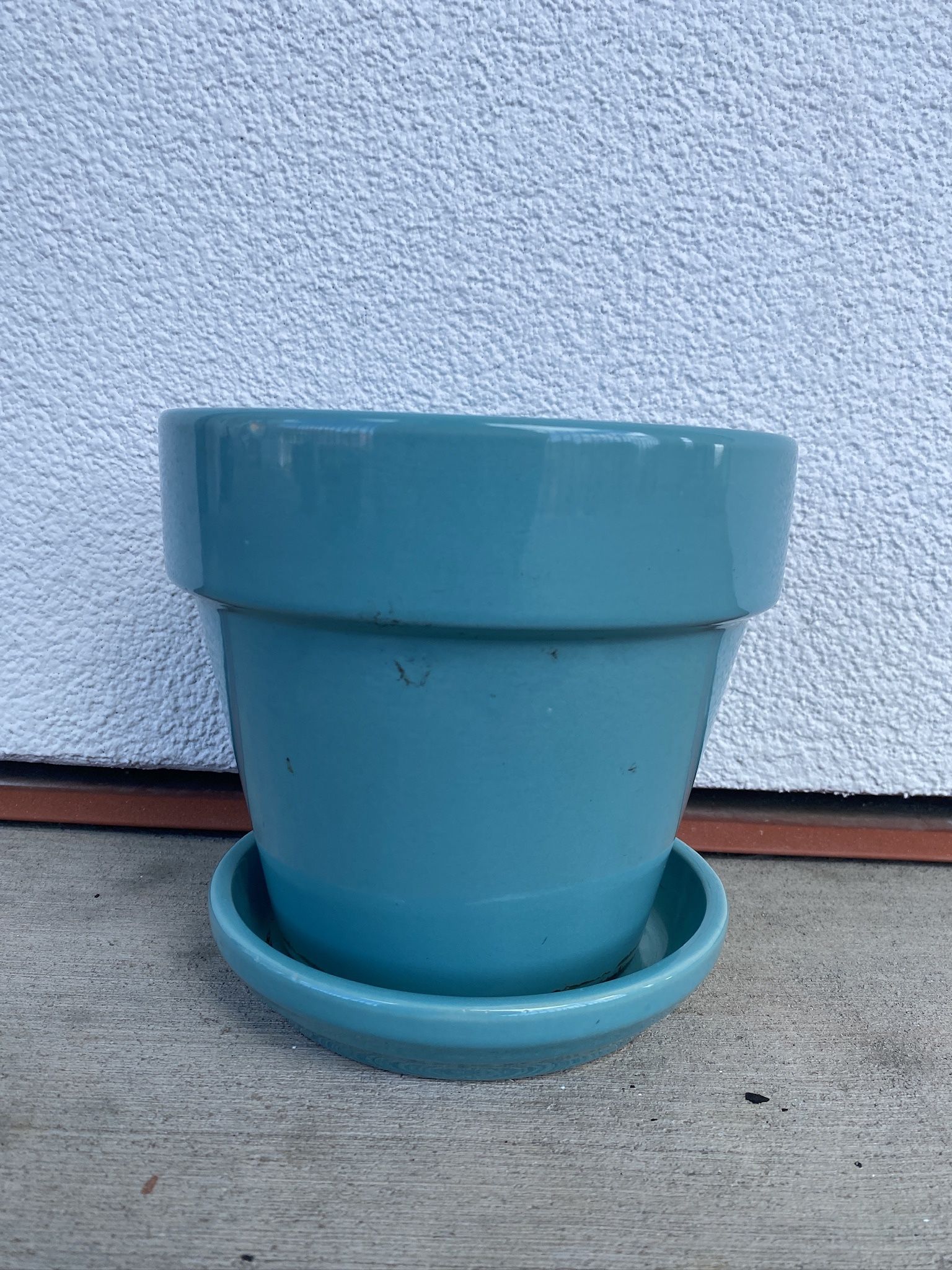 Plant Pot