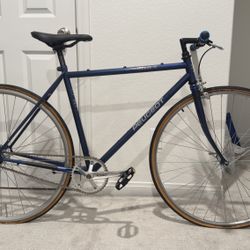 Single Speed Bike Commuter 50cm