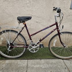 Vintage Bike Schwinn 