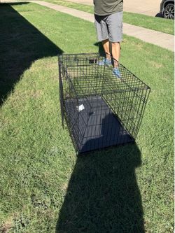 Dog kennel large