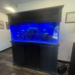 FISH TANK 150 gallon Acrylic salt water corral fish w/ stand & all equipment