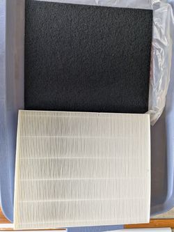 New WINIX air filter and charcoal