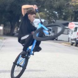 Se Matte Blue Blocks Flyer