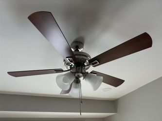Ceiling Fan