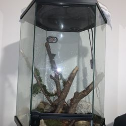 Moving Out Everything Must Go!!!! ASAP