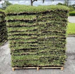 Nice Palmetto St Augustine Sod Pallets