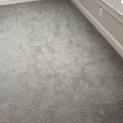Like New 15’x26’ high quality carpet & pad, dove Gray