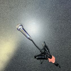 TikTok Microphone 