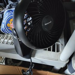 Fan