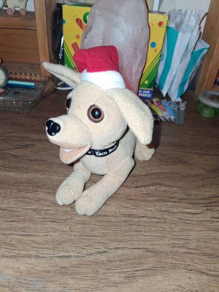 Taco Bell Chiwawa Talking Dog